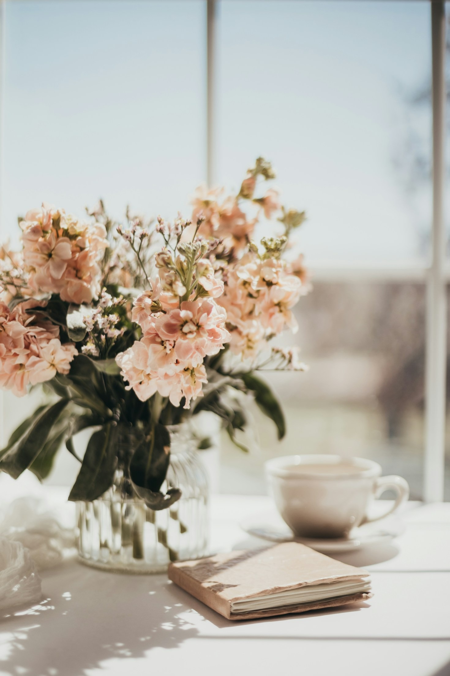 Embracing the Beauty of Everyday Moments